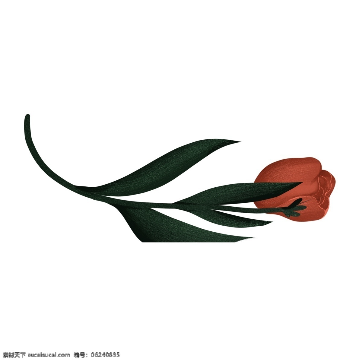 手绘 玫瑰 花卉 透明 花朵 透明素材 卡通素材 叶子 玫瑰花卉