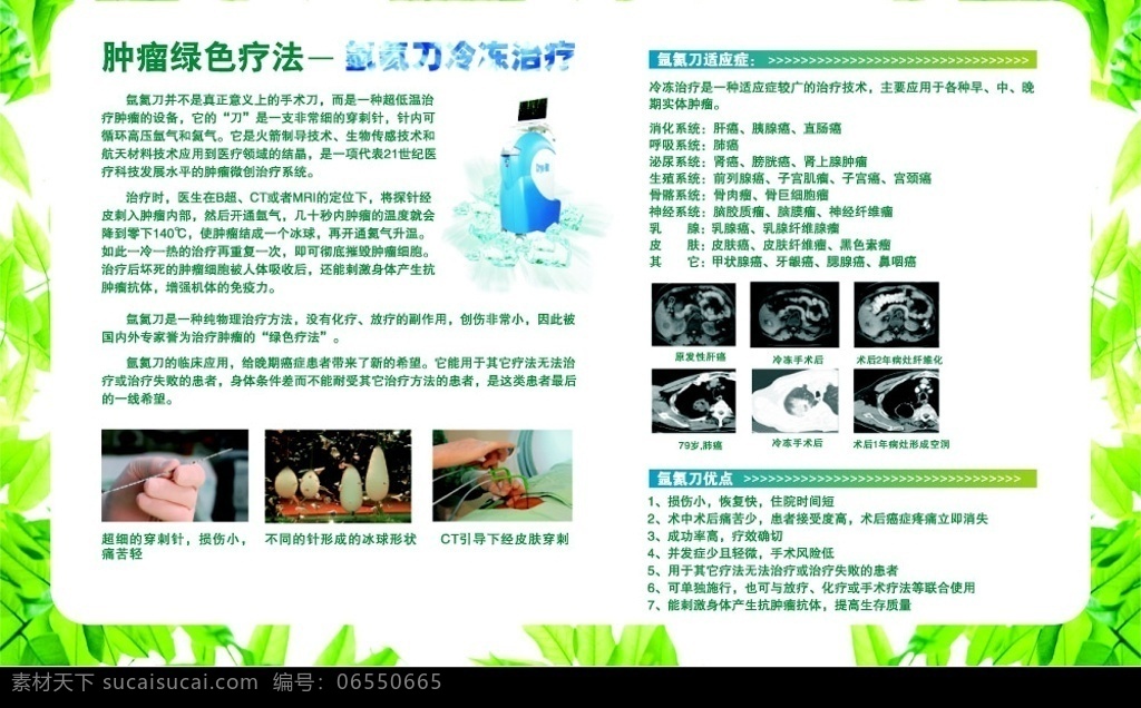 醫(yī)院 腫瘤 綠色療法 氬 氦 刀 冷凍 治療 氬氦刀冷凍 樹葉 綠葉 邊框 醫(yī)生 手術(shù) 矢量圖庫(kù)