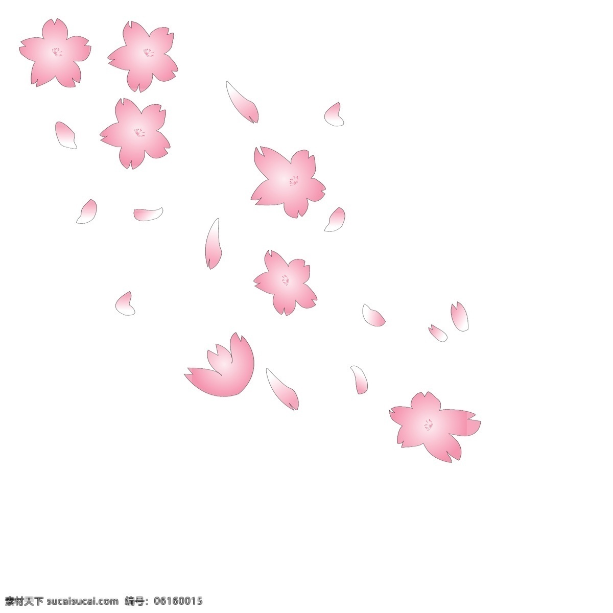 樱花 花瓣 漂浮 元素 清新 简约