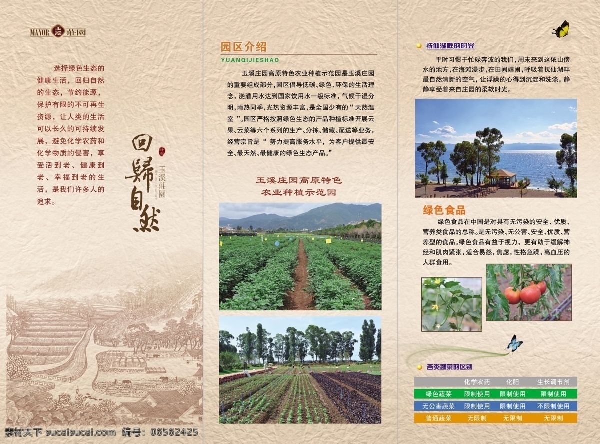 宣傳折頁(yè) 莊園 折頁(yè) 宣傳 書刊畫冊(cè) 農(nóng)業(yè)蔬菜種植 dm宣傳單 粉色
