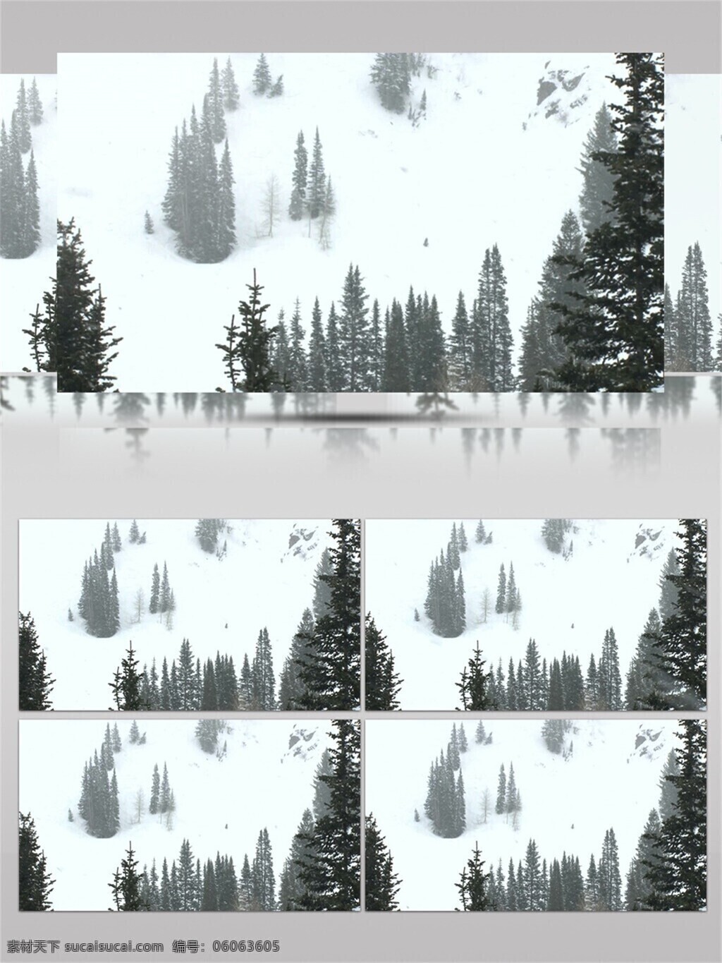 大雪纷飞 白雪 覆盖 松 树林 视频 冬天 冬季 唯美 雪花 雪地 白色 圣诞 飘雪