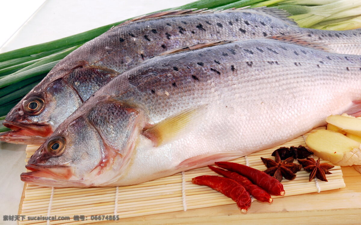 鱸魚 海鮮 美味 食物原料 餐飲美食