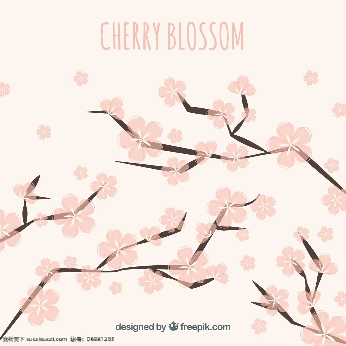 美丽 背景 树枝 粉红色 花朵 花卉 自然 花卉背景 春季 平面 植物 装饰 樱花 平面设计 自然背景 樱桃