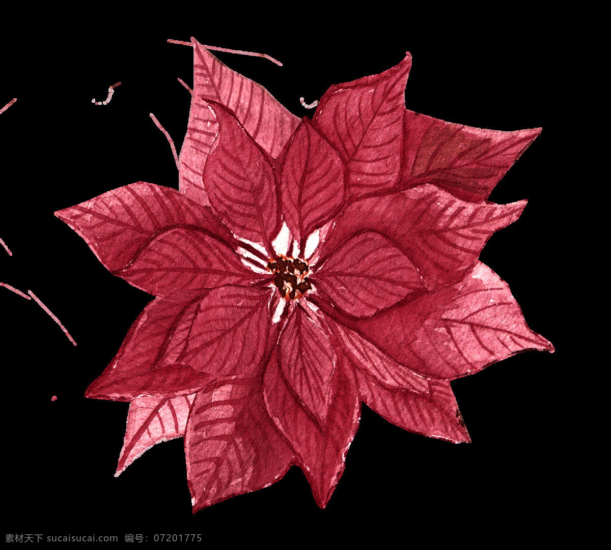 红色 枫叶 花卉 免 抠 图 卡通素材 免抠 免抠图 矢量素材