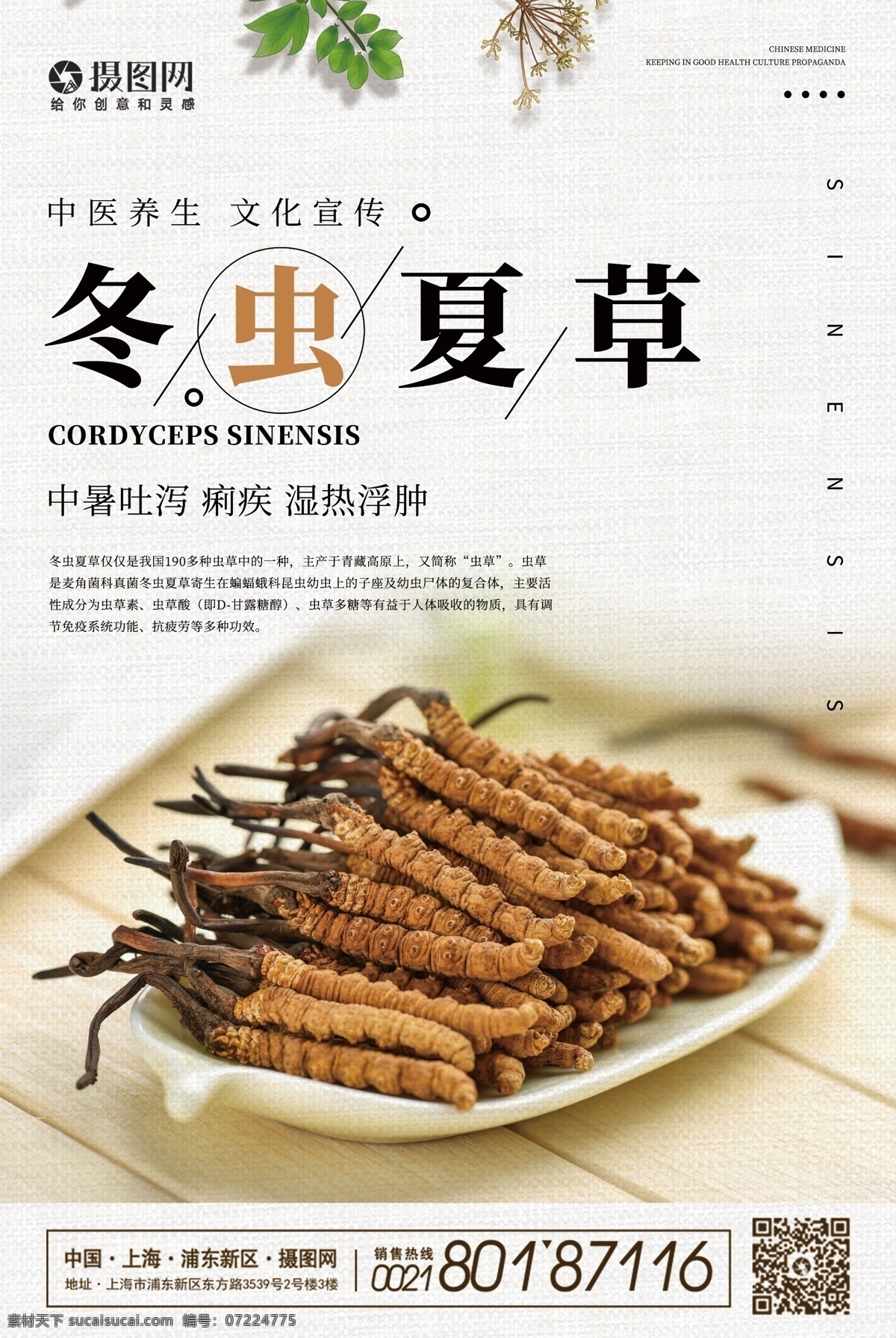 中醫(yī)養(yǎng)生 冬蟲夏草 海報(bào) 中醫(yī) 中藥 滋補(bǔ) 冬蟲 夏草 養(yǎng)生