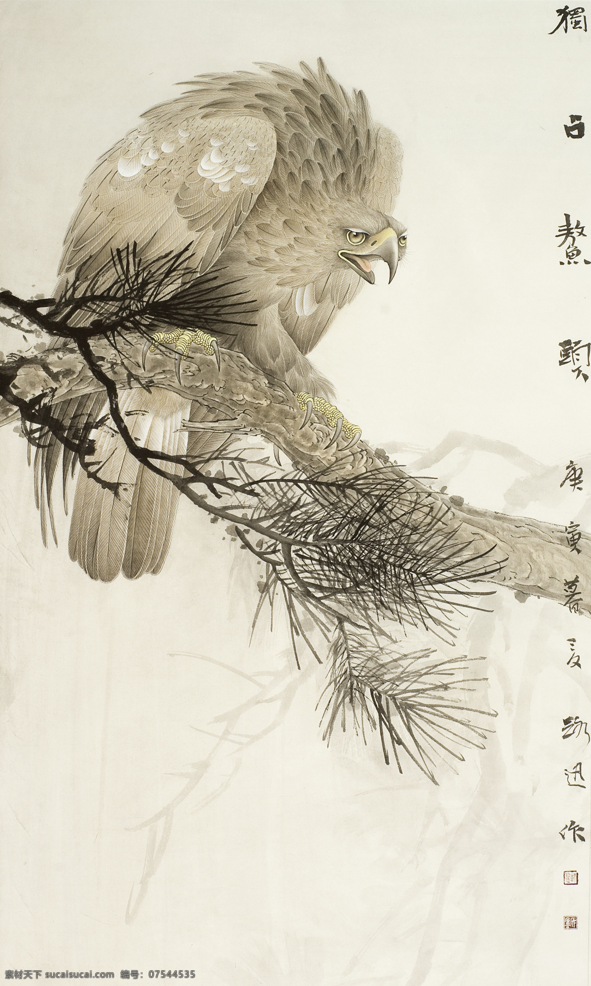 老鹰工笔画 鹰 雕 鹫 猛禽画 花鸟画 工笔画 艺术画 古画 国画 文化艺术 绘画书法