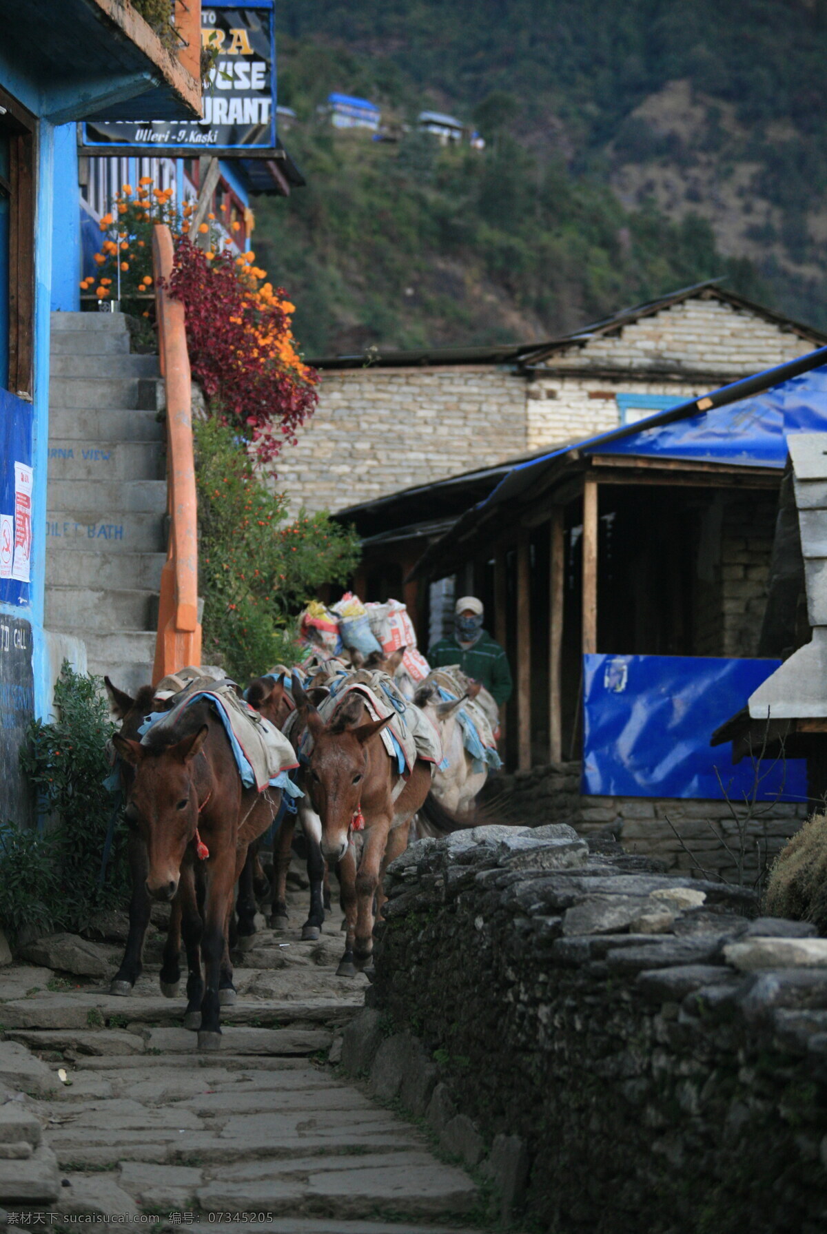 尼泊尔 徒步 风光 高原 沿途 旅游摄影 国外旅游