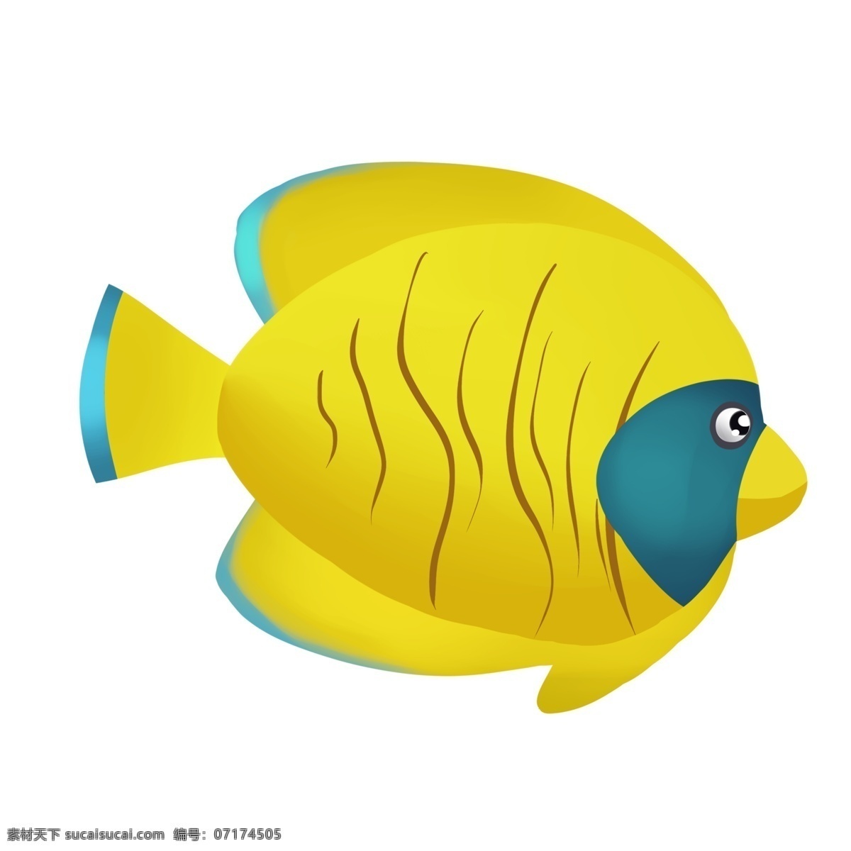 手绘 卡通 海洋生物 热带鱼 免 抠 海洋 生物