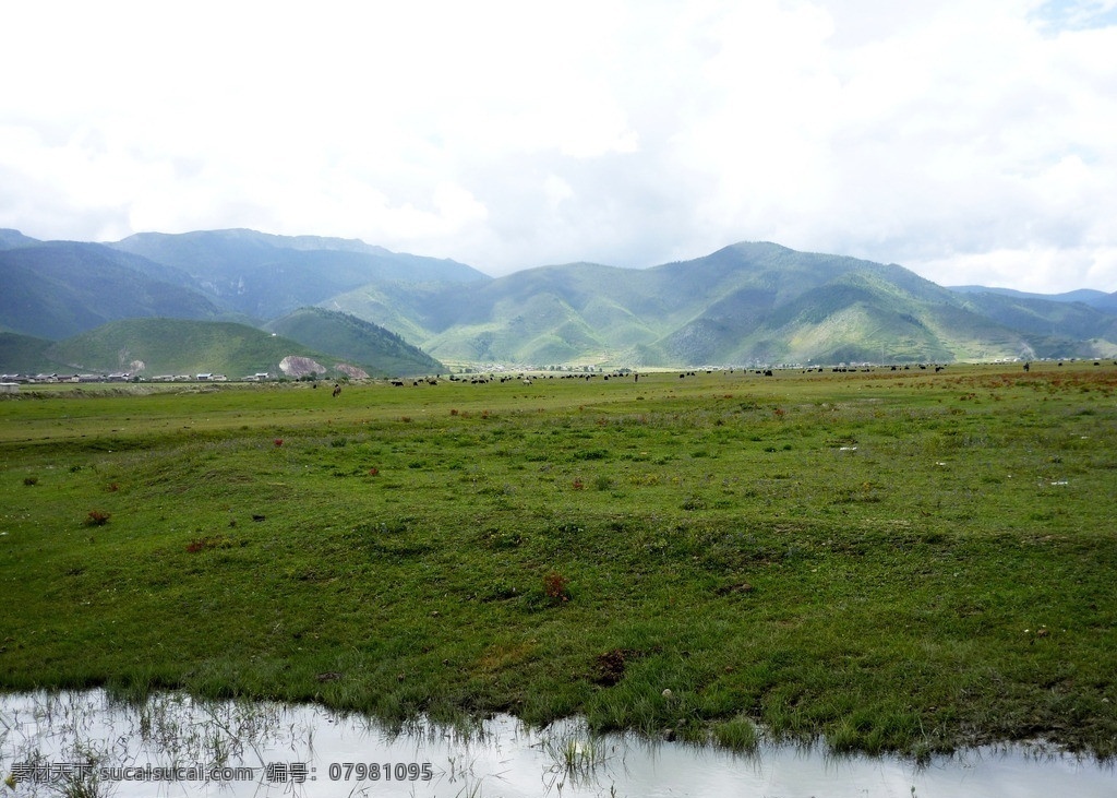 西藏 香格里拉 山 天空 纳帕海 大草原 湿地 自然风景 自然景观