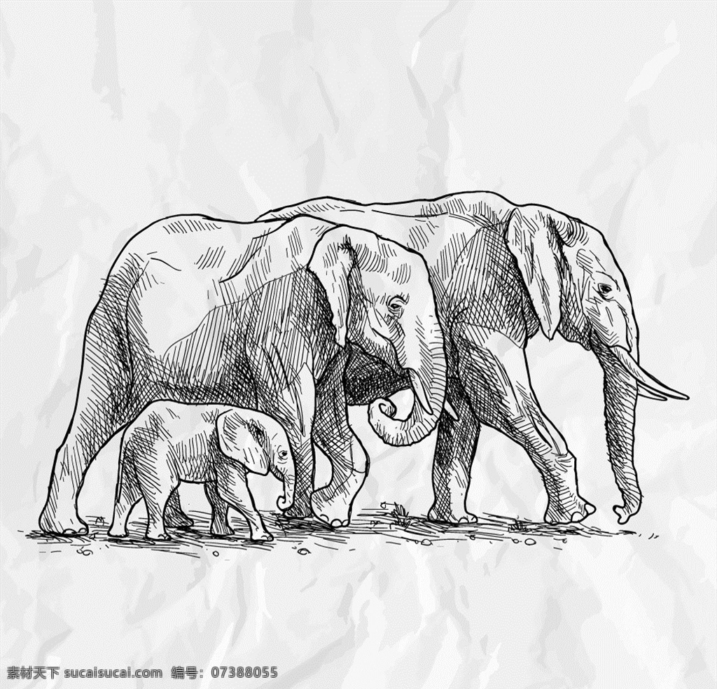 大象 手绘 矢量 素材图片 大象手绘 矢量素材 手绘素材 矢量图 非洲大象