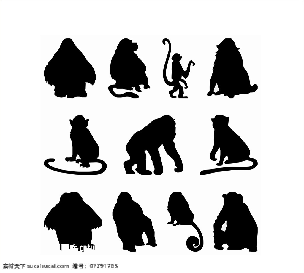 大猩猩 小猴子 矢量图 动物世界 动物矢量图