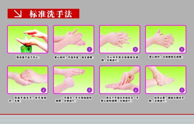 標準洗手法 洗手 洗手過程 工行牌子 矢量