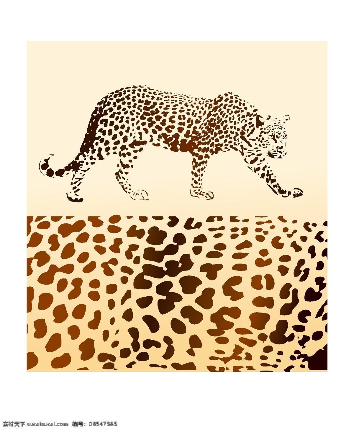 豹 豹纹 动物 动物皮毛 豹子 矢量豹子