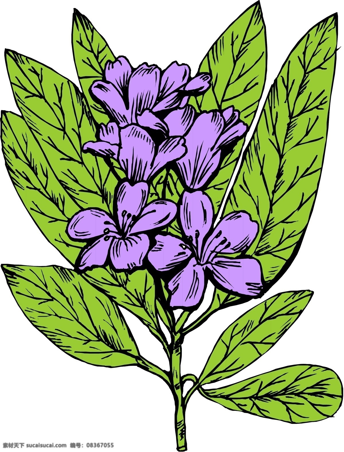 花朵 鮮花 矢量圖 商業(yè)矢量 矢量下載 網(wǎng)頁矢量 矢量綜合 其他矢量圖