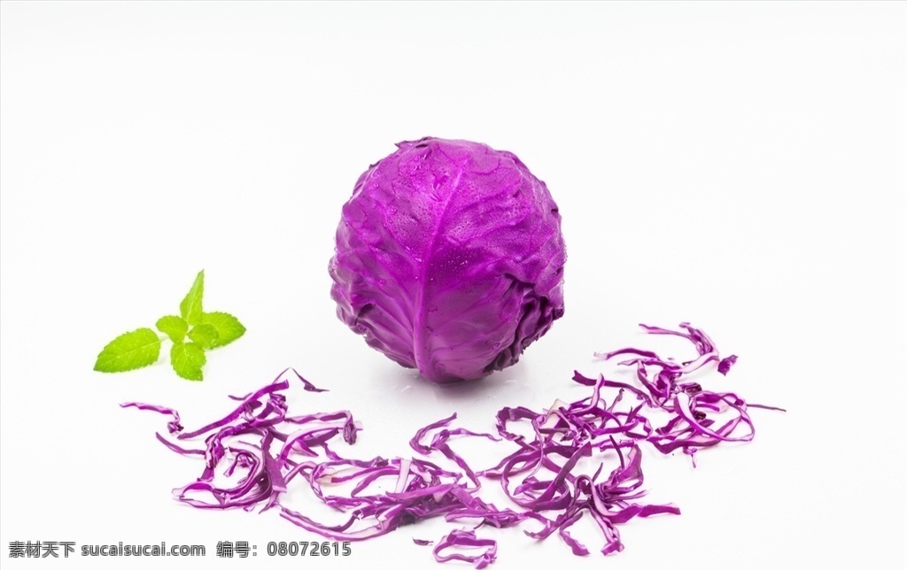 紫包菜 紫甘藍(lán) 紅甘藍(lán) 紫洋白菜 紫茴子白 包菜 蔬菜 食物 食材 餐飲美食 食物原料 食物原料01