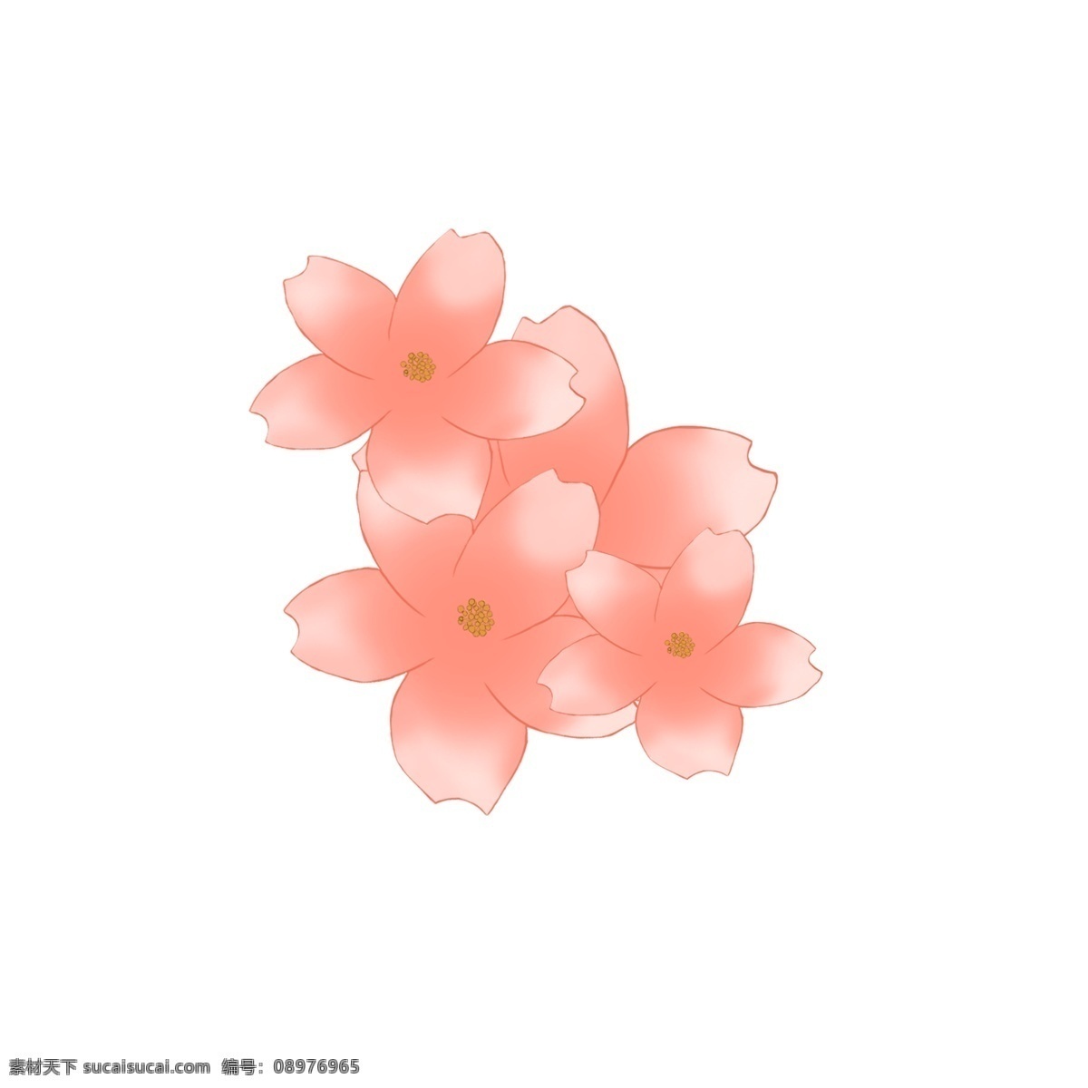局部 特写 樱花 花朵 简单 暖色调樱花 黄色花蕊 粉色樱花花瓣 渐变色花瓣 简洁 三月