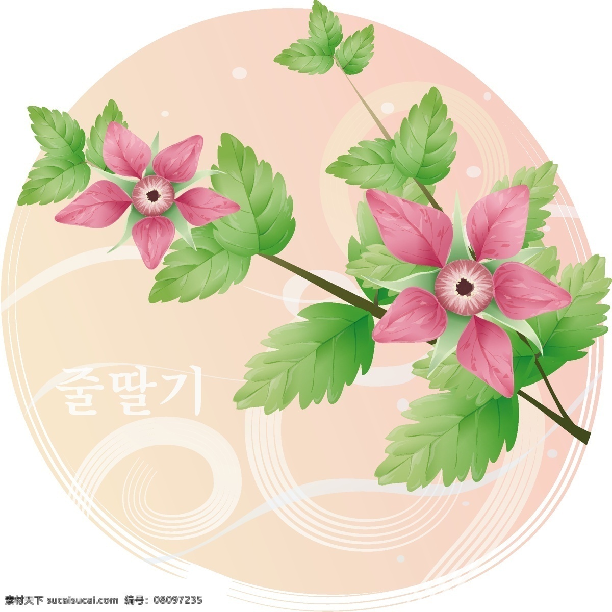 花草免費下載 韓國矢量圖 花草 美麗的花 矢量圖 國與花失量圖 花紋 花邊 矢量 底紋 邊框 花紋花邊