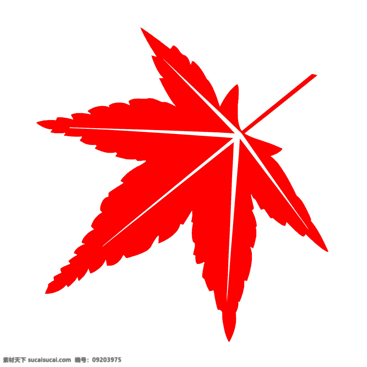 大红色枫叶 秋红枫叶 自然红枫叶 红色大枫叶 标志图标 企业 logo 标志