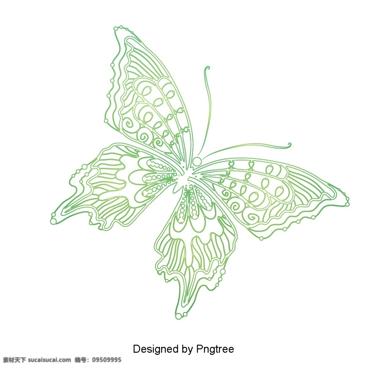 简单 手绘 美学 蝴蝶 图案 美丽 梦幻 昆虫 自然 生物 装饰 线条