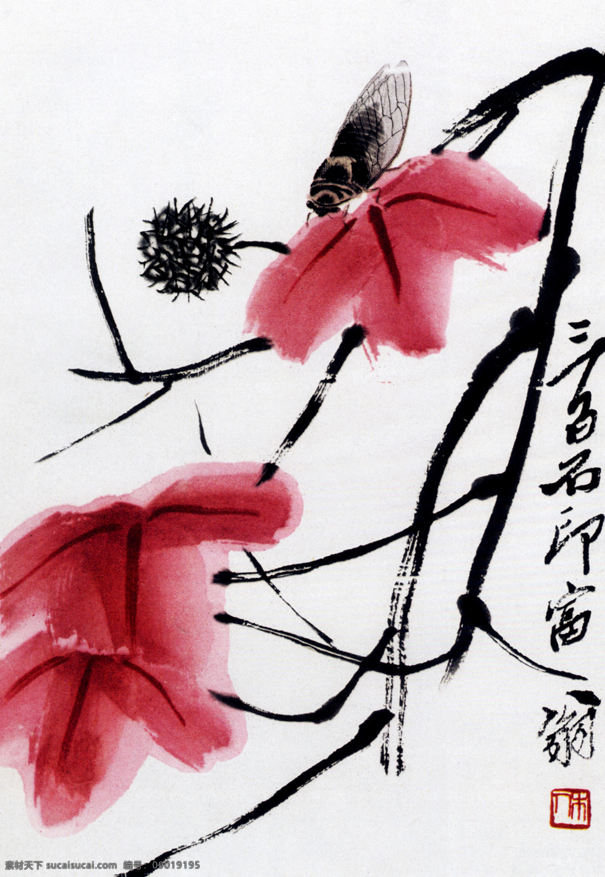 枫叶寒蝉 文化艺术 绘画书法 齐白石作品集 设计图库