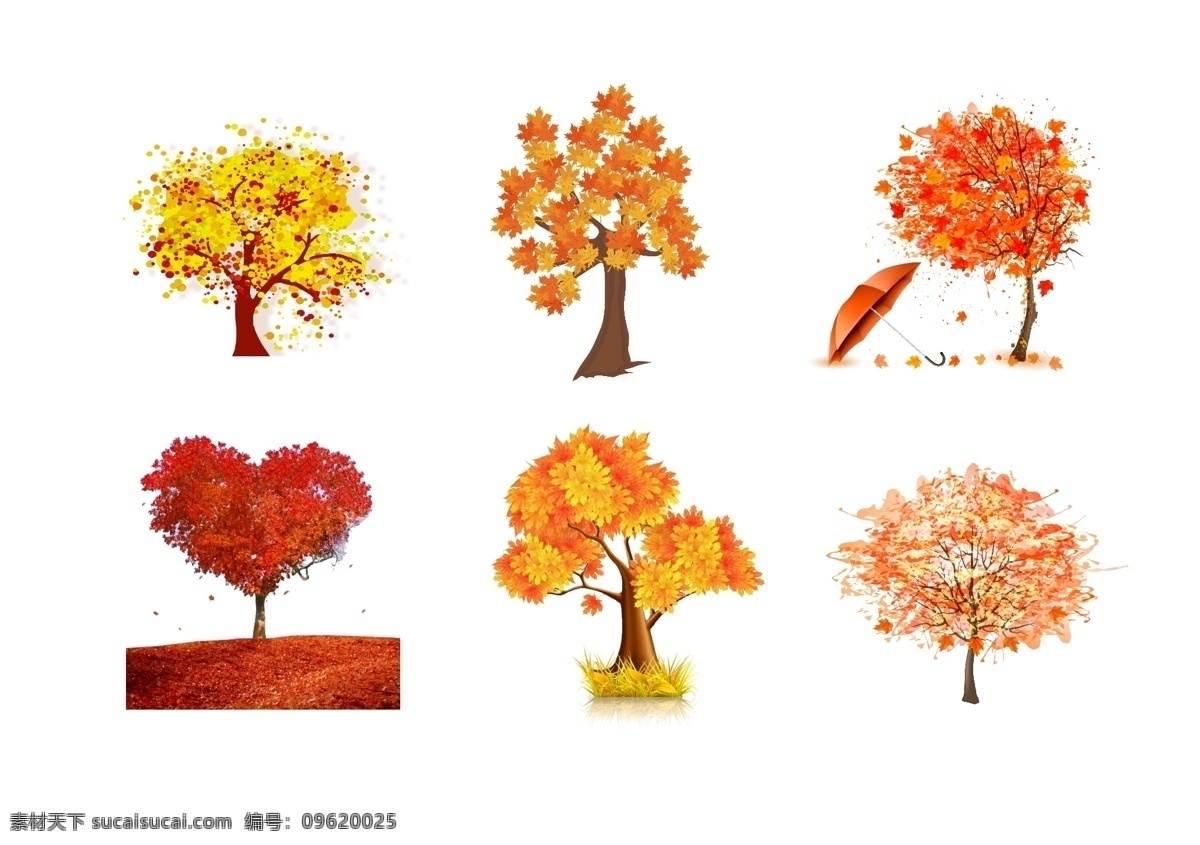 秋天树叶图片 秋天树叶 枫叶 枫树 秋天树叶素材 金色秋天