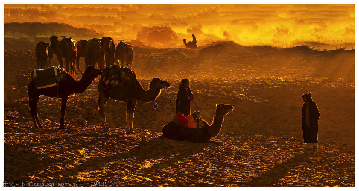 大漠 孤 烟 沙尘暴 下 驼队 人群 沙漠 大漠孤烟 沙漠摄影 旅游摄影 沙漠风景 风沙景象 暴风来临 自然风景