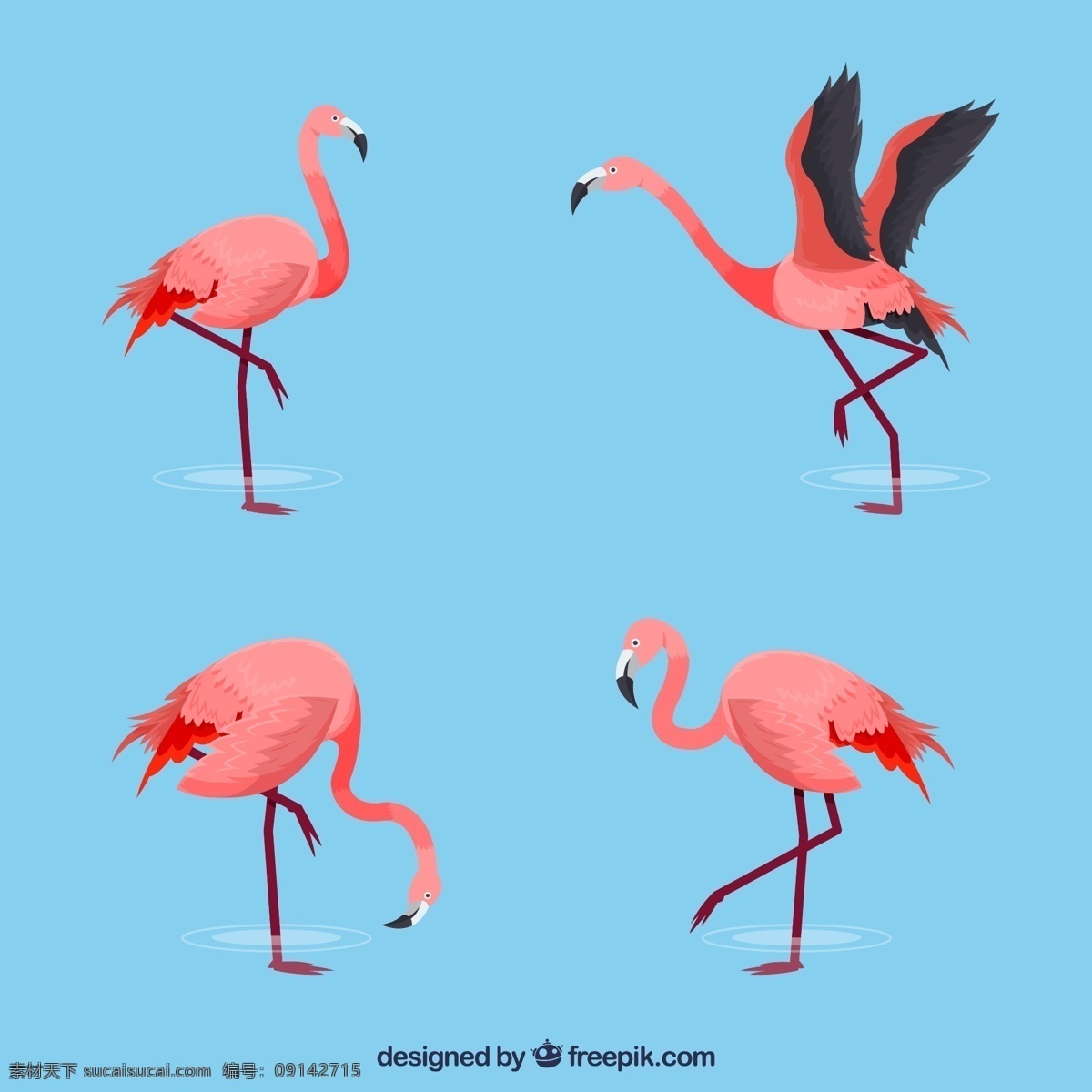 款 動感 粉色 火烈鳥 鳥 熱帶 文化藝術 繪畫書法