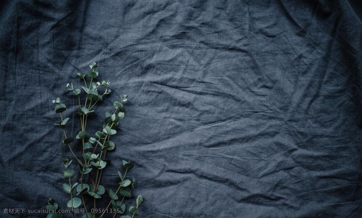 花朵 桌布 暗色 意境 合成 背景 背景素材