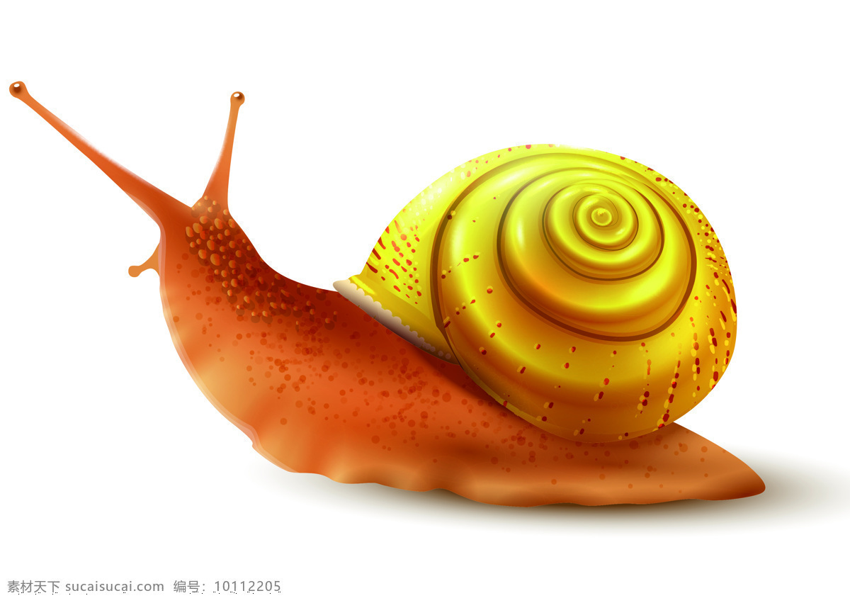 蜗牛 生物 动物 自然 装饰 图形图标素材