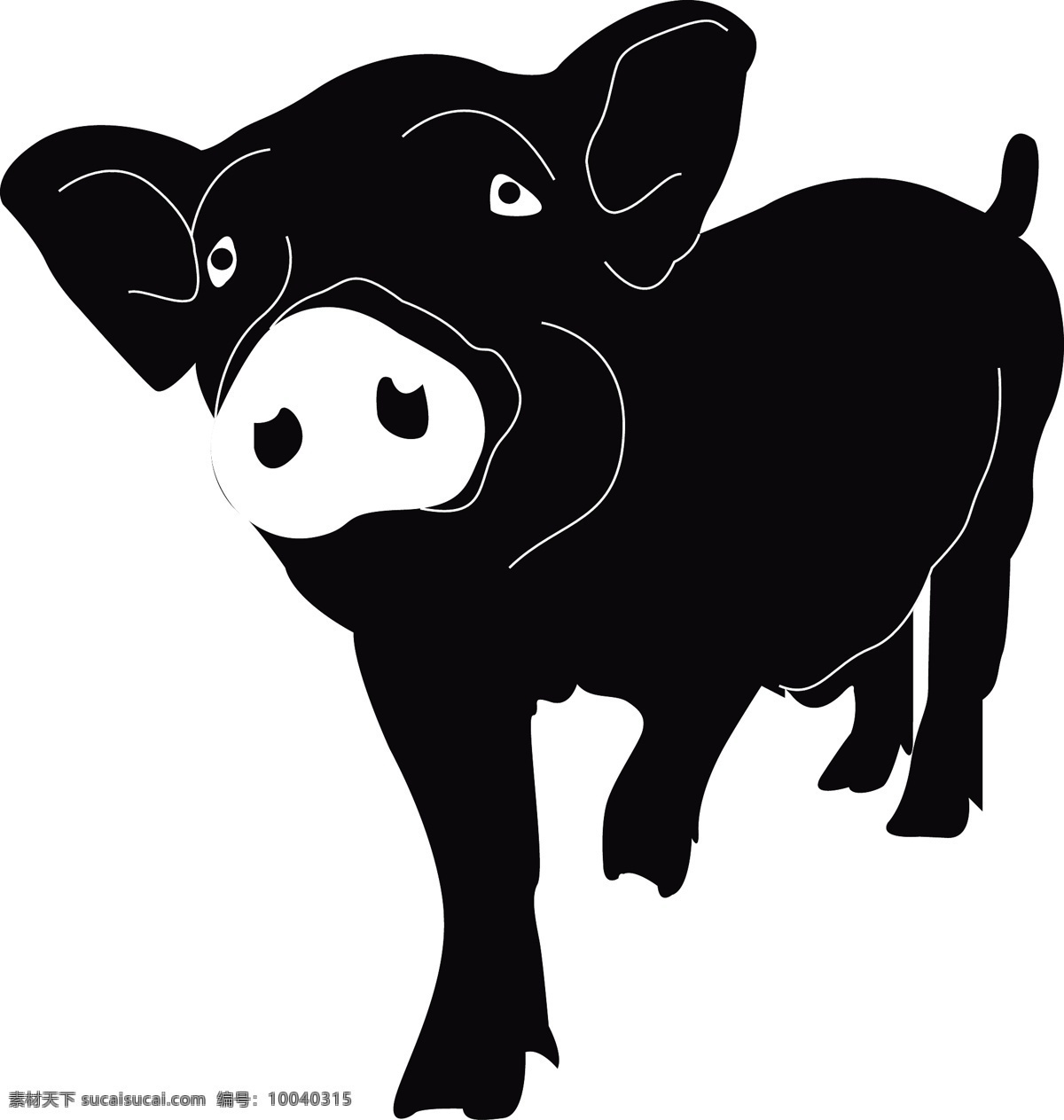 2019 年 豬年 動物 簡 筆畫 手繪 簡約 商用 元素 簡筆畫