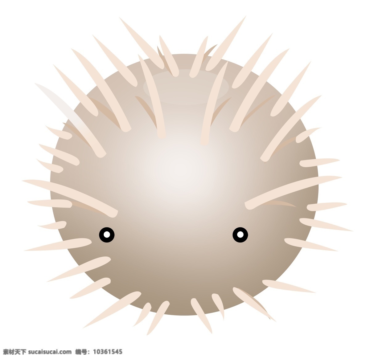 白色水生動(dòng)物 魚(yú)類(lèi) 動(dòng)物 觀賞