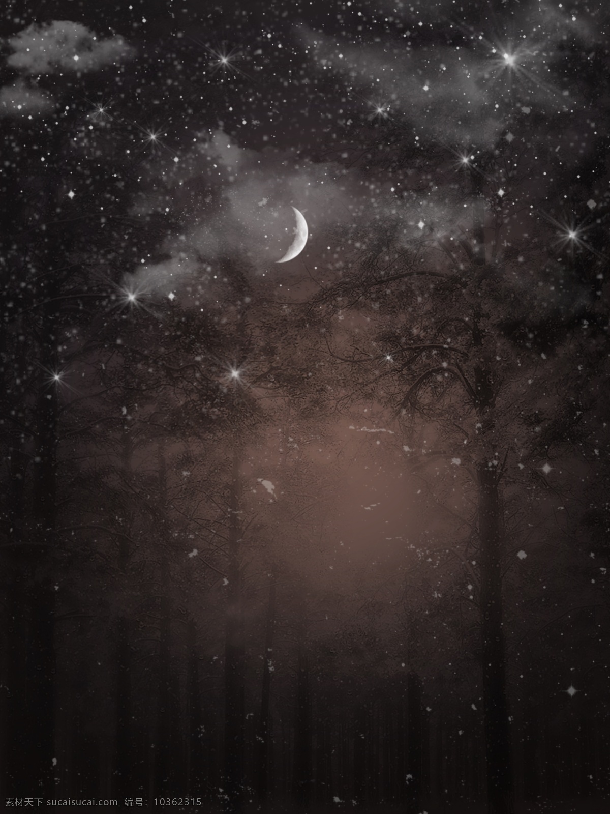 夜晚 森林 星空 月色 神秘 幻想 月亮 星星 樹(shù) 森林夜色 傍晚星空