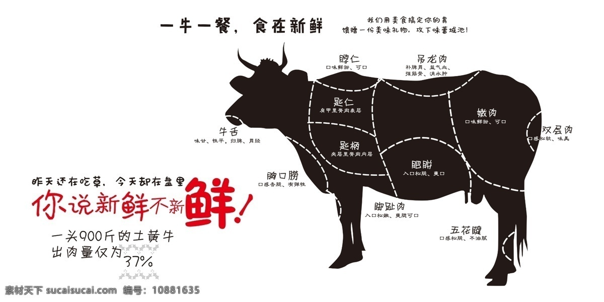 黄牛分解图 潮汕 牛肉 火锅 牛 新鲜 部位分解图 文化艺术 传统文化
