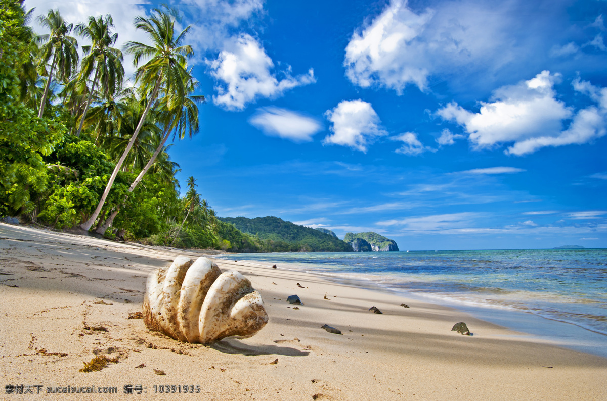 热带风光摄影 天空 白云 大海 沙滩 椰子树 植物 大树 自然风光 风景 景观 休闲旅游 自然风景 自然景观 蓝色