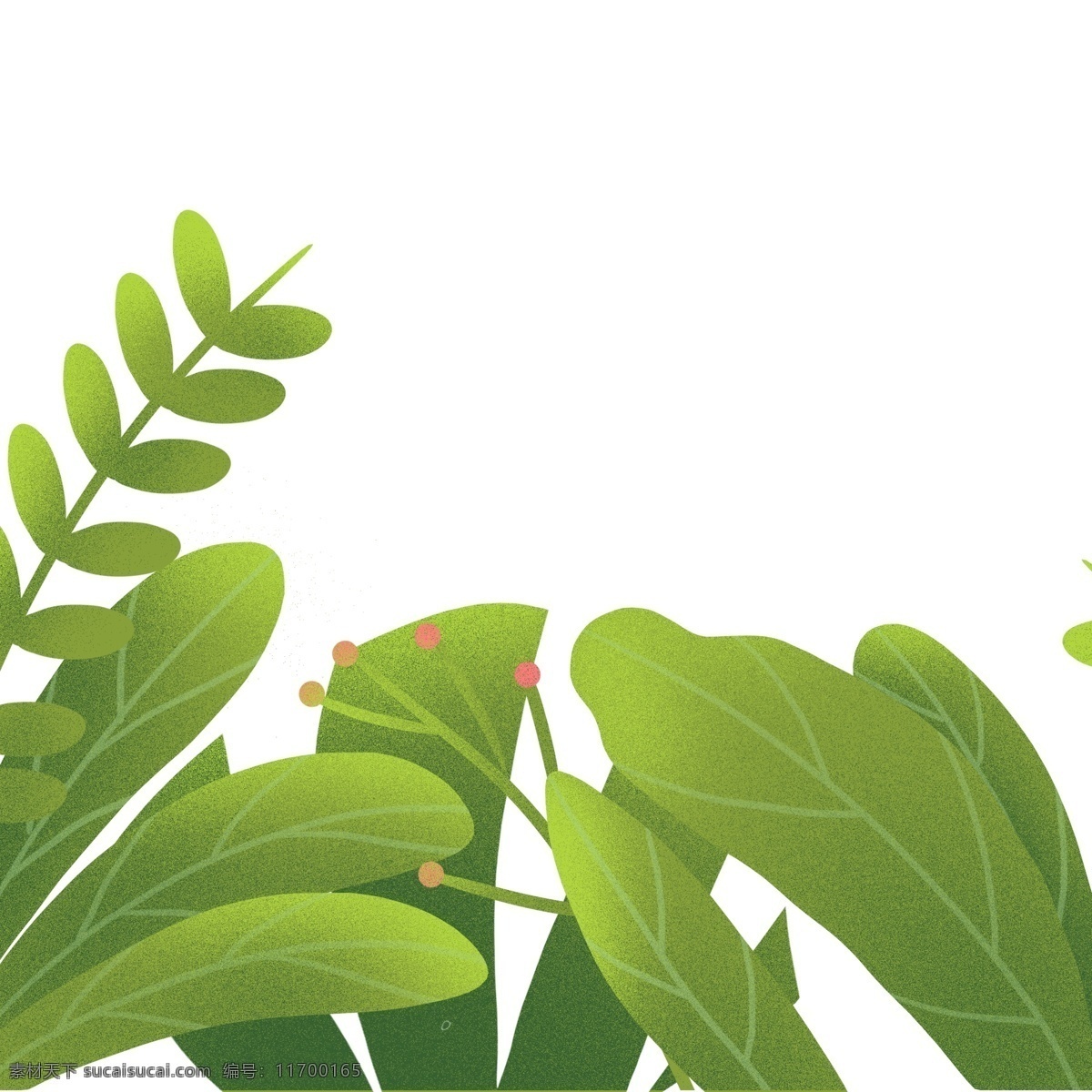綠色植物 裝飾 圖案 植物 樹葉 繪畫 插畫元素 設(shè)計(jì)元素 卡通 彩色 簡(jiǎn)約 小清新 精致