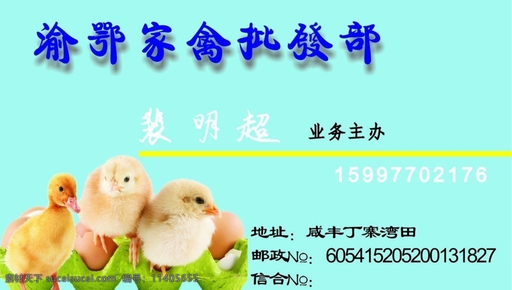 名片 家禽 名片卡片 矢量