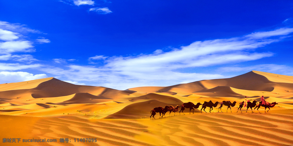 蓝天白云 沙漠骆驼 异域风情 西部 黄沙 金色 丝绸之路