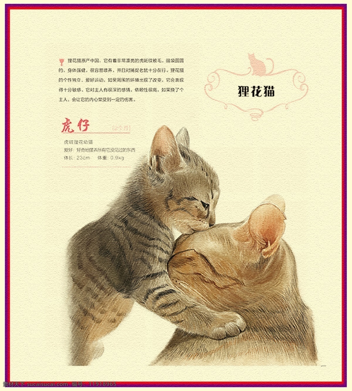 手绘猫图片 彩铅手绘北欧 植物 装饰画 现代简约 软装搭配 欧式 插画 植物图案水彩 手绘彩铅 文化艺术 绘画书法