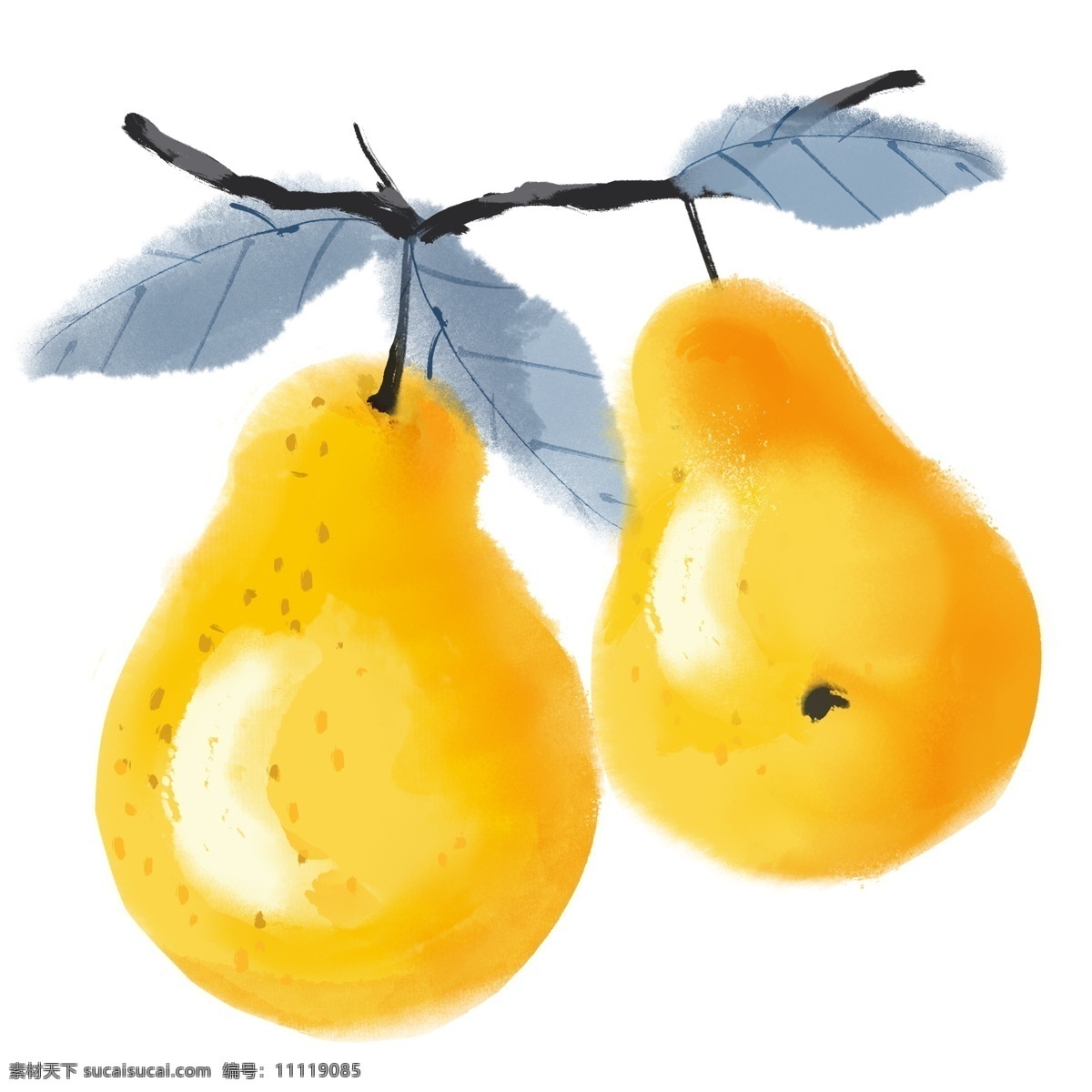 中国 风 水墨 彩绘 水果 静物 梨 国画