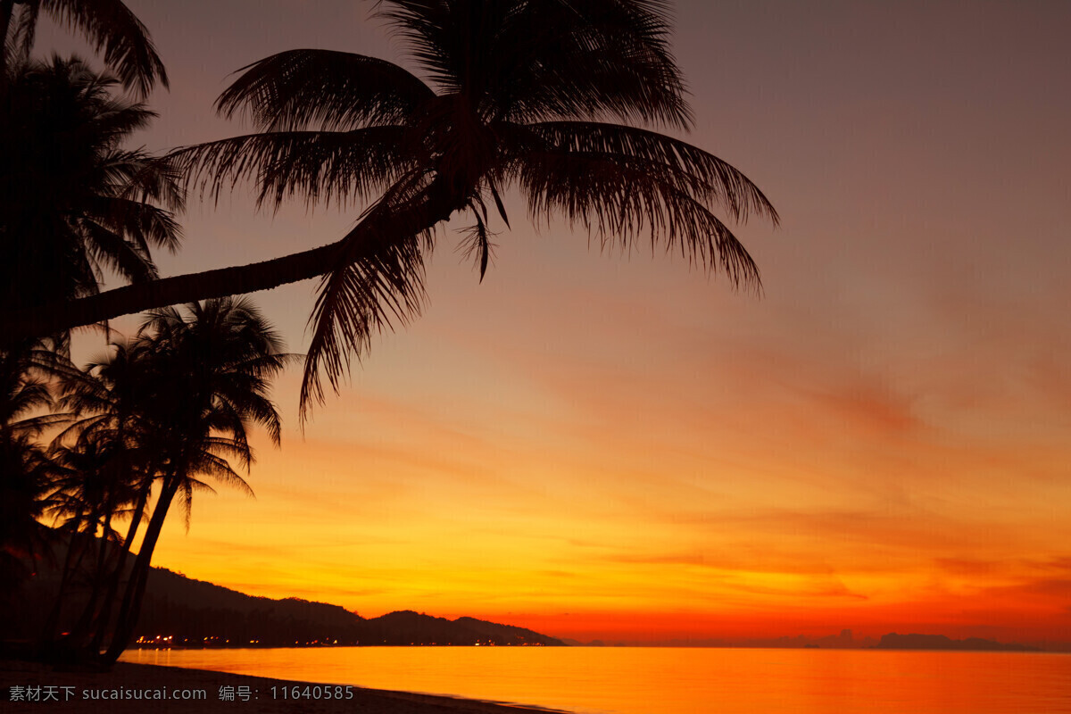 海洋 海边 椰子树 晚霞 霞光 日落 大海 海浪 沙滩 自然风光 海洋海边 大海图片 风景图片