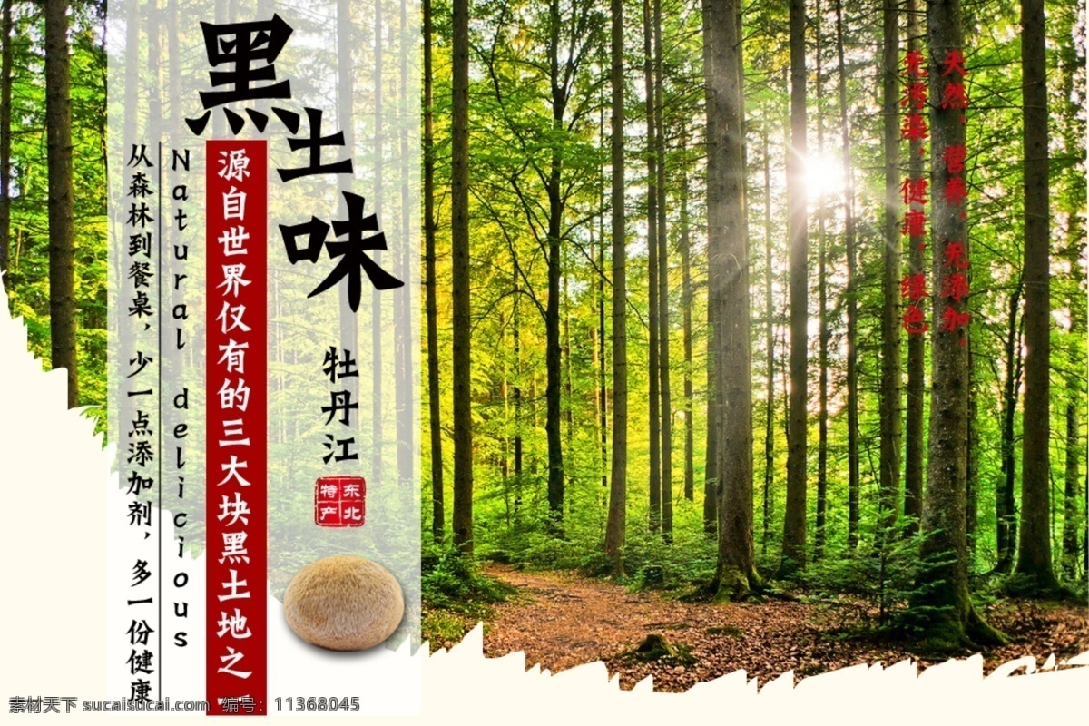 山珍免費下載 文字 文字圖片 原創(chuàng)設(shè)計 原創(chuàng)網(wǎng)頁設(shè)計