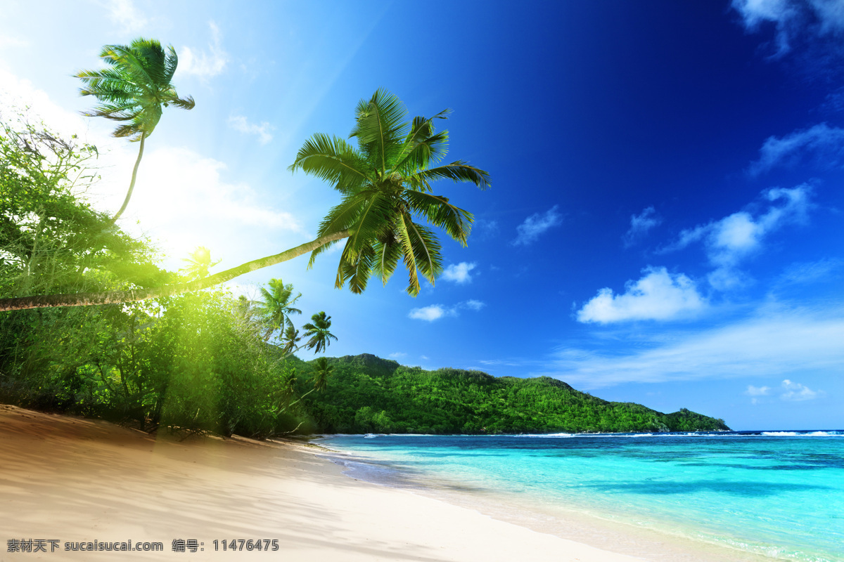 热带风光摄影 沙滩 大海 天使 椰子树 树木 阳光 自然风光 休闲旅游 水果蔬菜 餐饮美食 蓝色