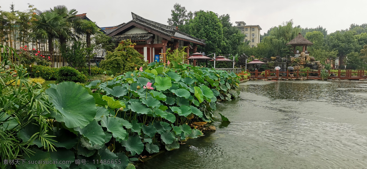 園林圖片 荷塘荷花亭子 園林景觀 園林設計素材 荷花 雨中園林 建筑園林 園林建筑