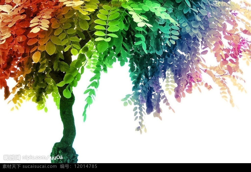 樹 繁花 彩虹 版 花 彩虹色 葉片 自然景觀 自然風(fēng)景 攝影圖庫