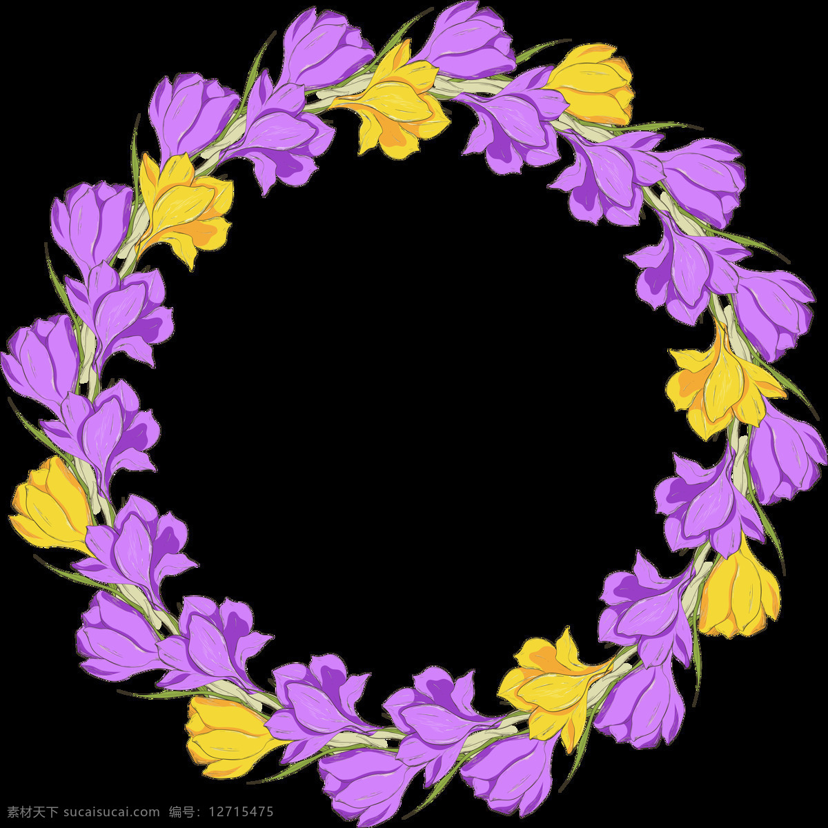 淡雅 美丽 紫 黄双 色 花环 透明 花朵 黄色 平面素材 设计素材 矢量素材 圆环 紫色