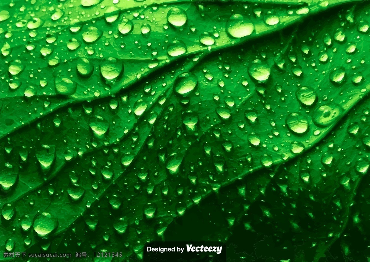 绿色 树叶 水珠 矢量 叶子 绿叶 矢量素材 水