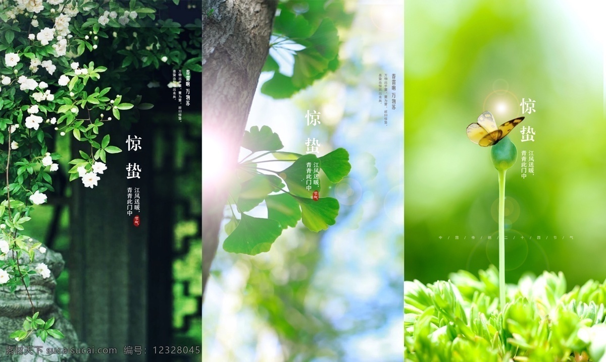 驚蟄 24節(jié)氣 傳統(tǒng)節(jié)氣 中國傳統(tǒng)節(jié)氣 地產(chǎn)微信稿 分層