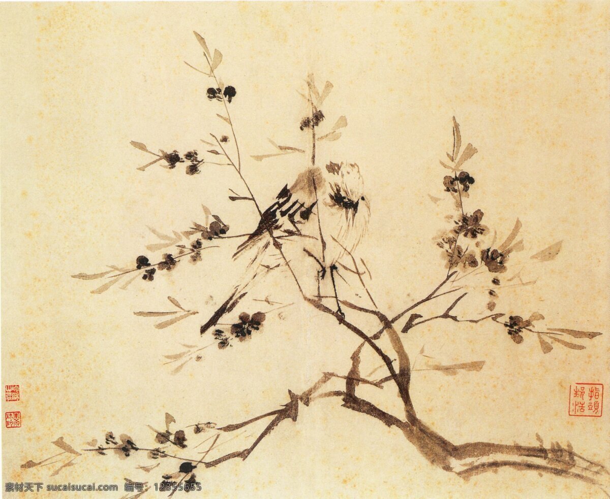 國(guó)畫 花鳥 圖 國(guó)畫花鳥圖 花卉圖 花卉 鳥雀 風(fēng)景畫 花卉寫生 植物花朵繪畫 裝飾畫 中國(guó)風(fēng) 花草繪畫 蝴蝶昆蟲繪畫 復(fù)古繪畫 名家繪畫 清代畫家 花卉集 字畫 水彩植物 花鳥冊(cè) 中國(guó)畫 工筆畫 工筆畫鳥 工筆 古代 花鳥魚蟲 植物圖譜 中堂 掛畫 畫家繪畫 樹枝 歷代花鳥畫 國(guó)畫字畫 文化藝術(shù) 繪畫書法