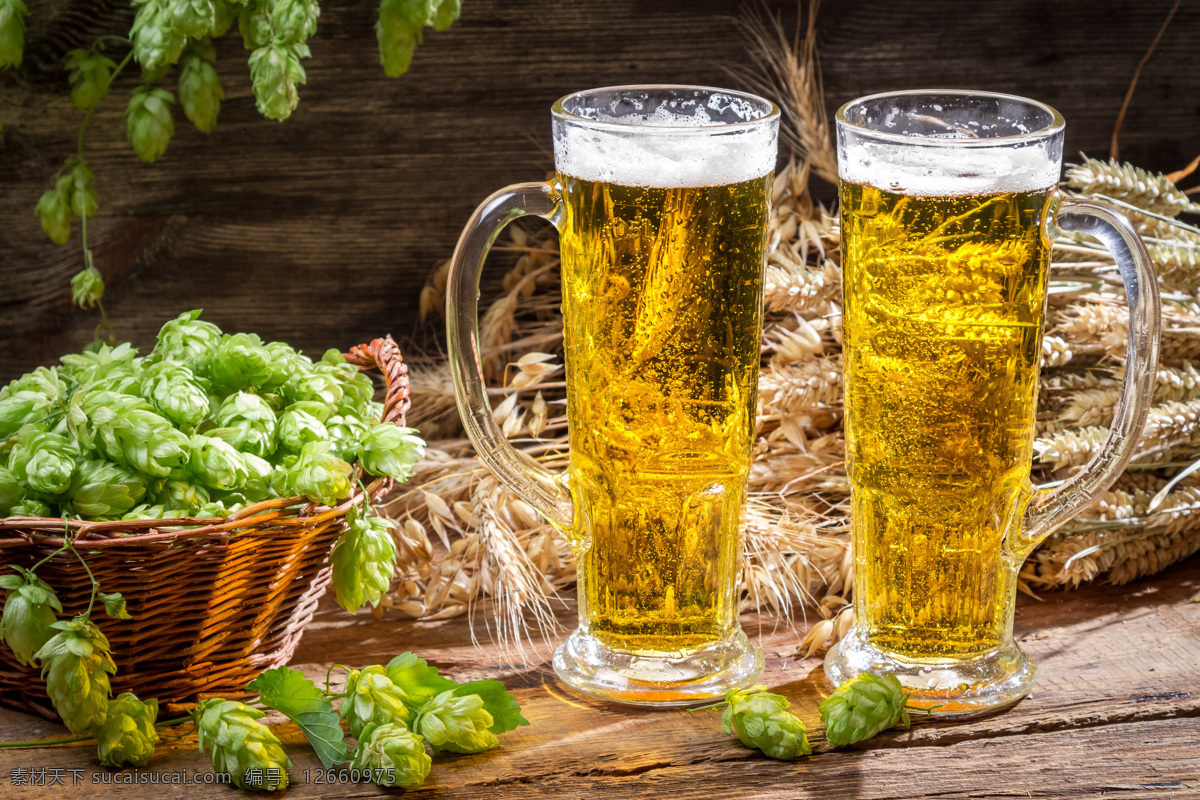 啤酒釀造 啤酒花 beer 酒水 冰鎮(zhèn)啤酒 小麥 麥穗 德國(guó)啤酒 啤酒廣告 啤酒工藝 餐飲美食 飲料酒水