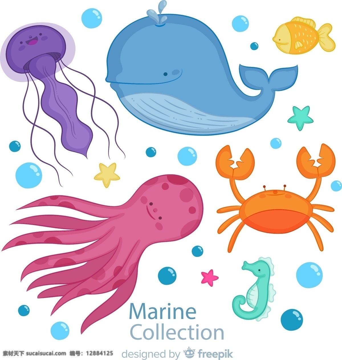 卡通 海洋 动物图片 水母 鲸鱼 章鱼 螃蟹 矢量 高清图片